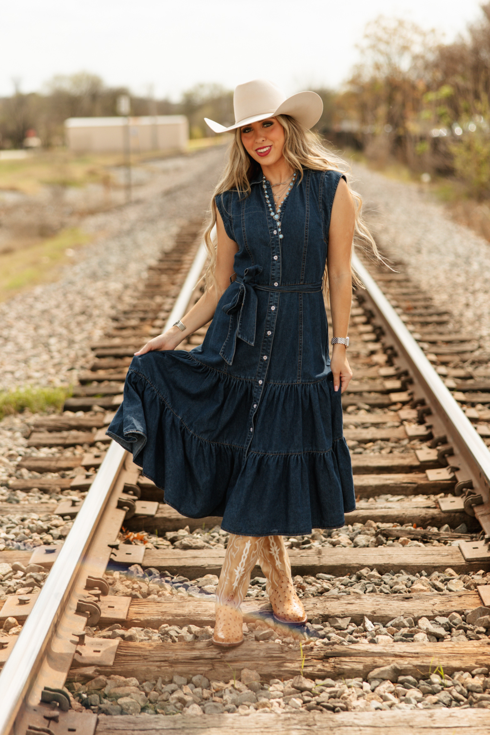 Dakota Skies Denim Maxi Dress