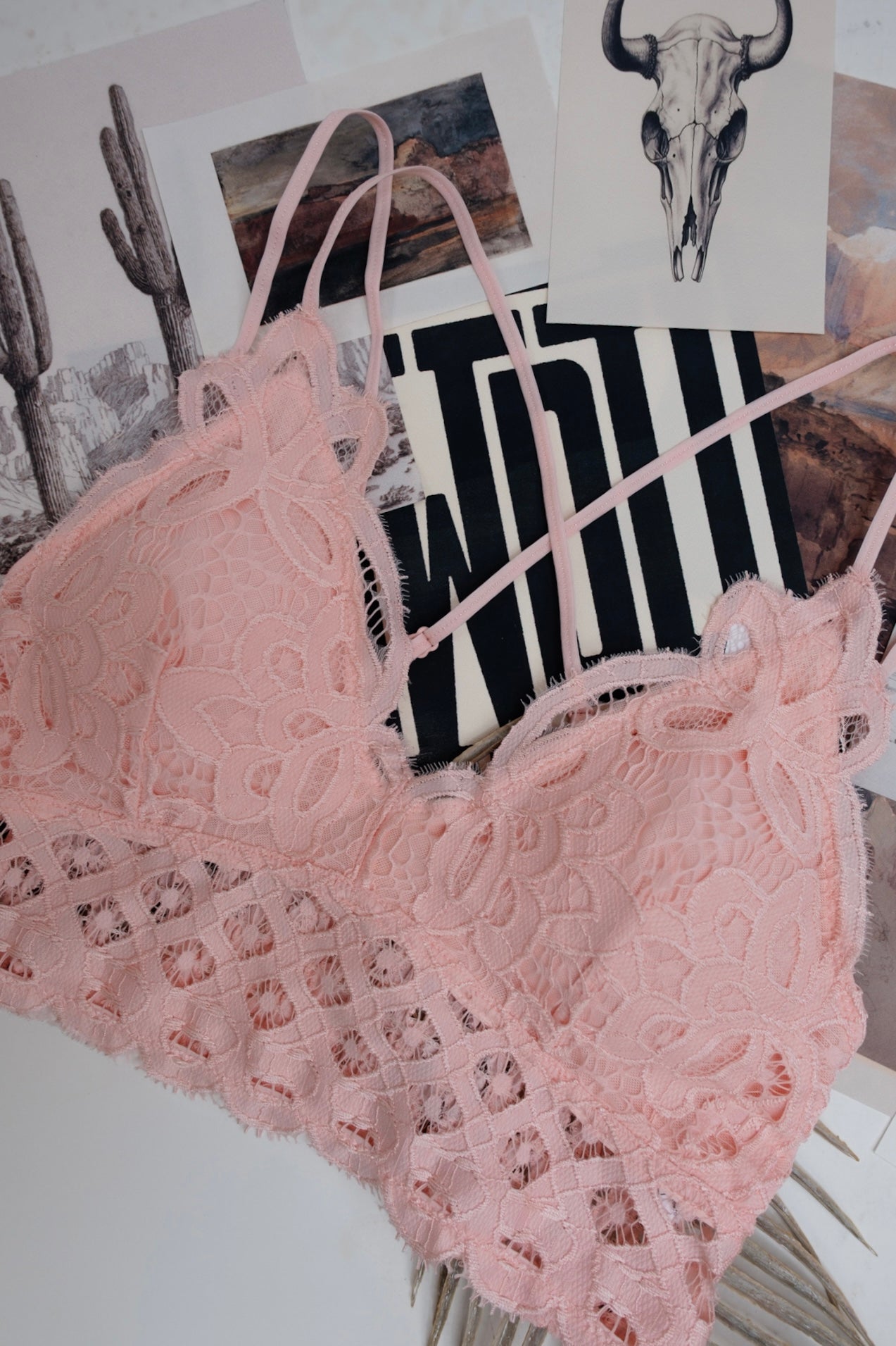 Lace & Lasso Bralette - Light Pink