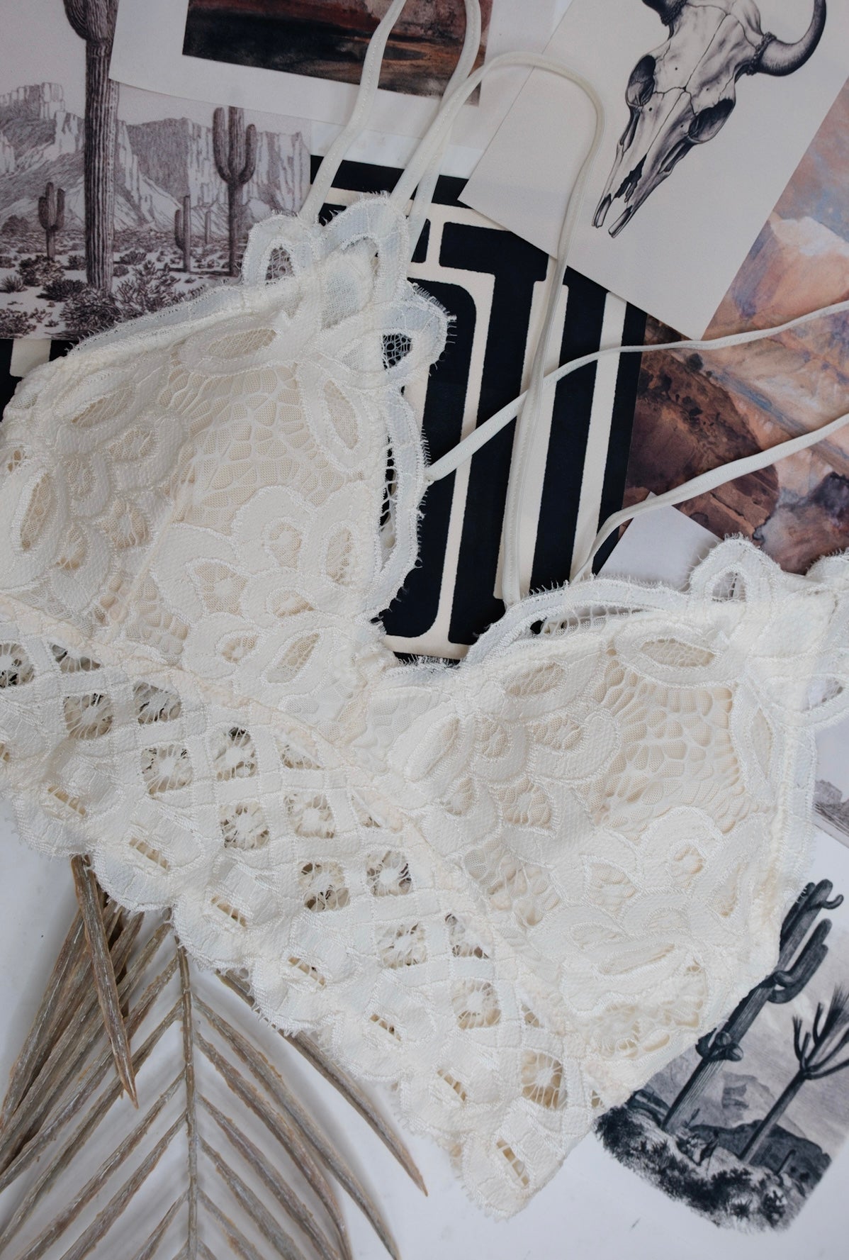 Lace & Lasso Bralette - Ivory