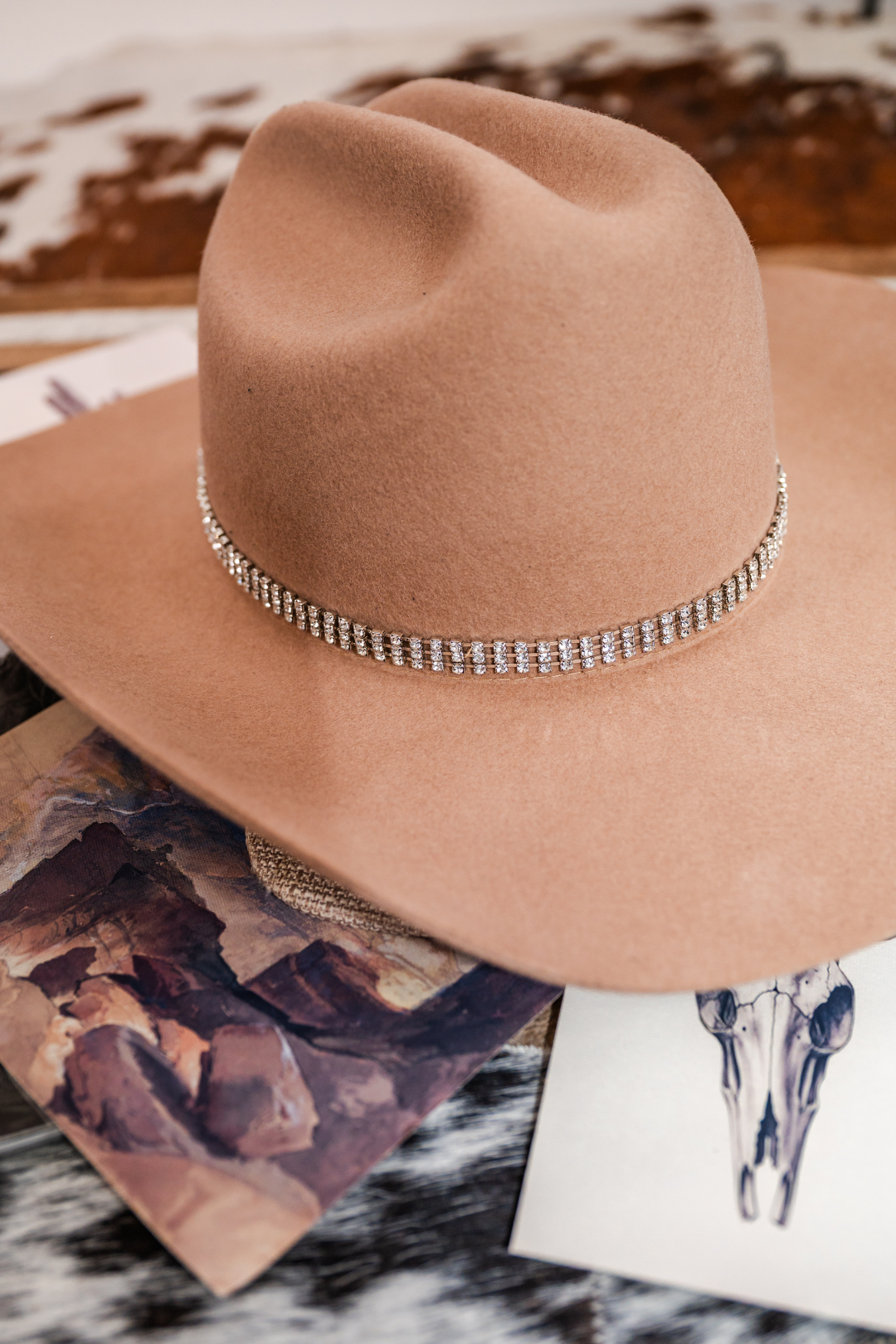 Rhinestone Range Hat Band