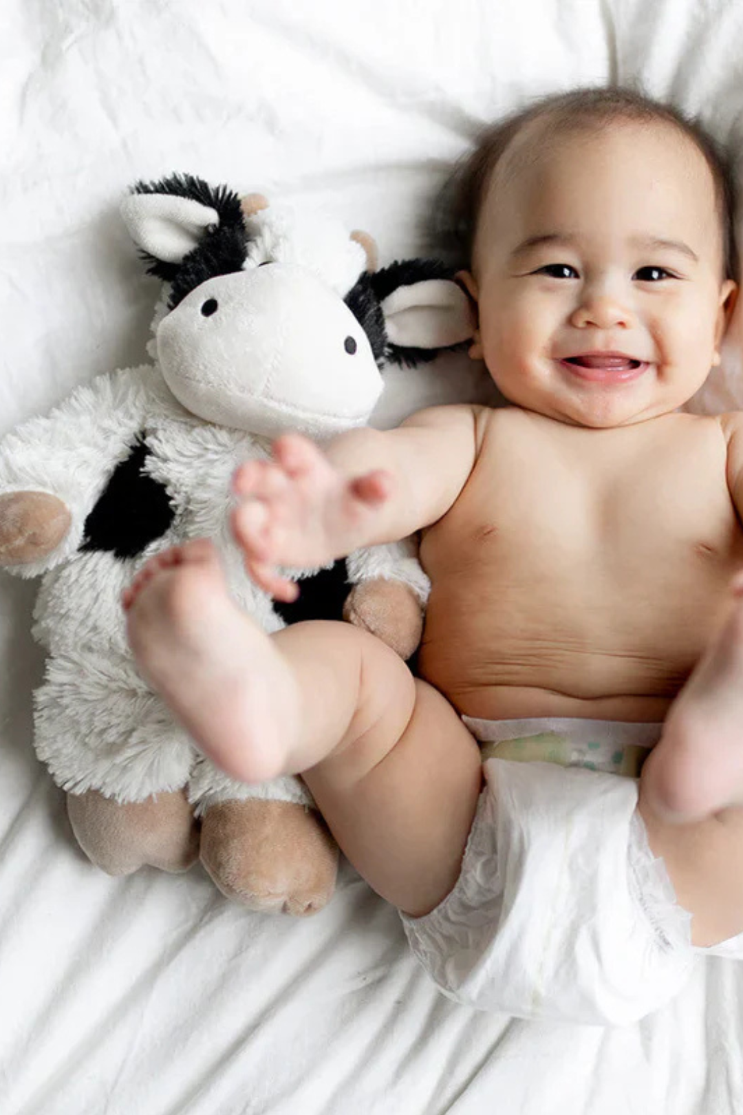 Black & White Cow Warmies Plush