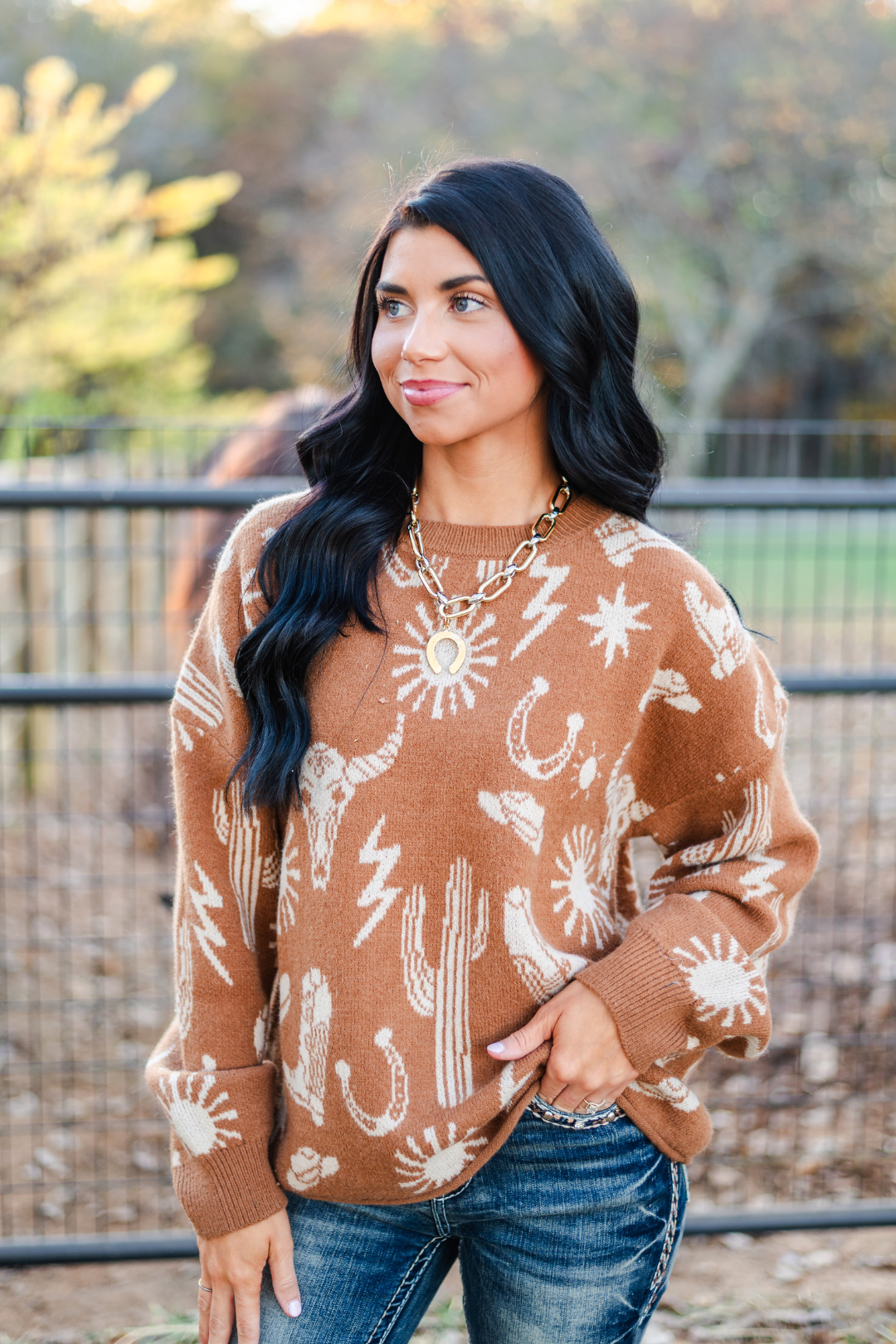 Desert Sky Knit Sweater