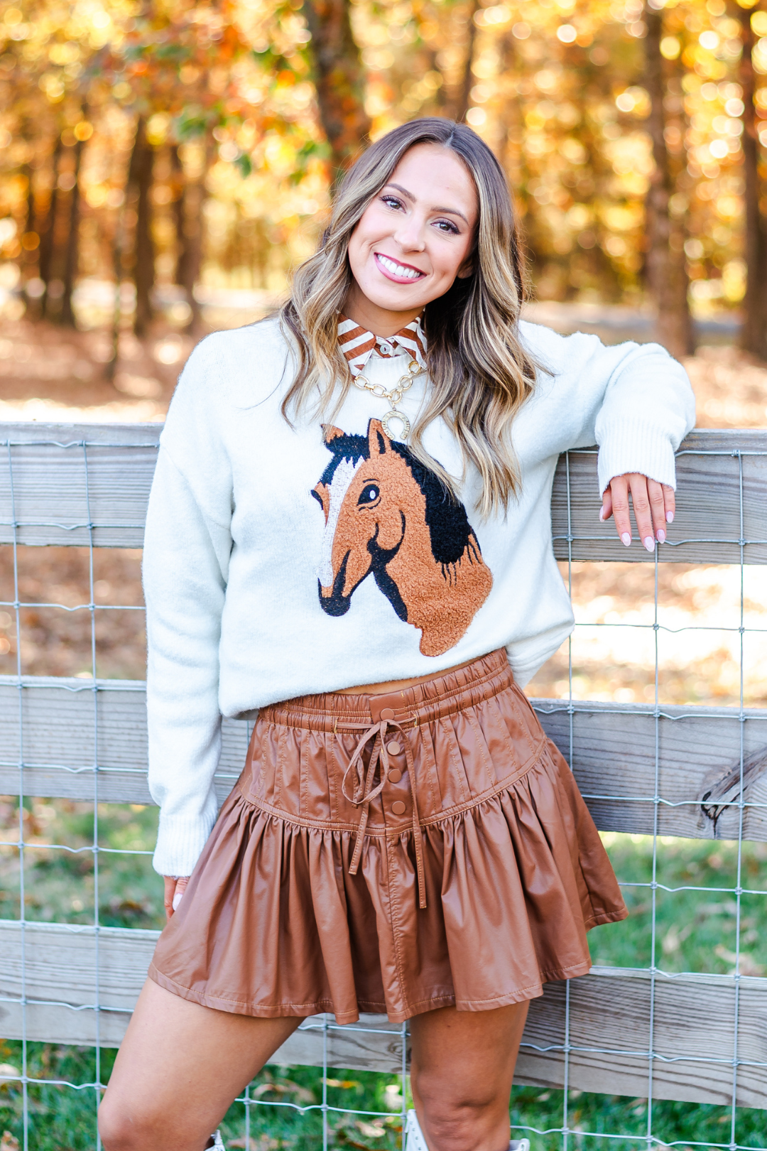 Dusty Trail Horse Sweater