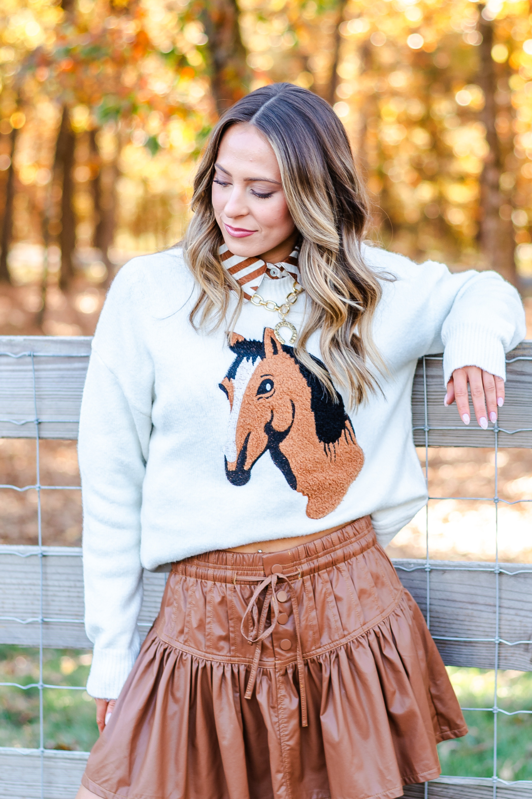 Dusty Trail Horse Sweater