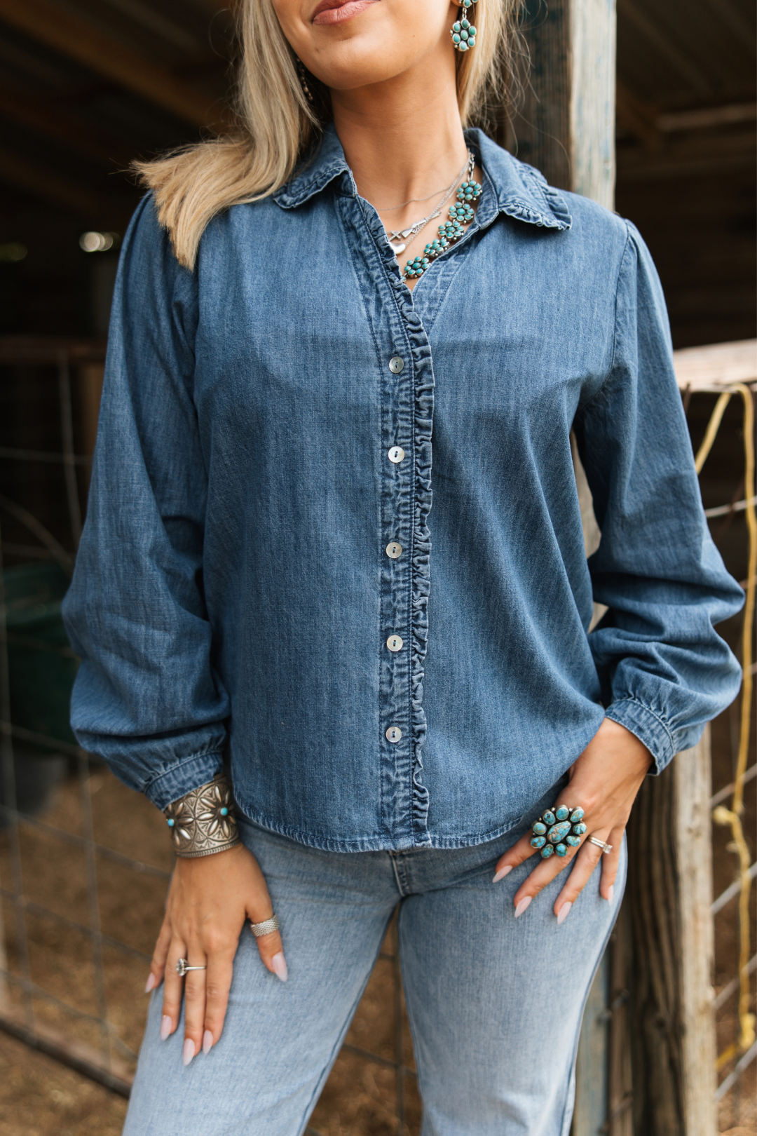 Blue Haven Denim Blouse