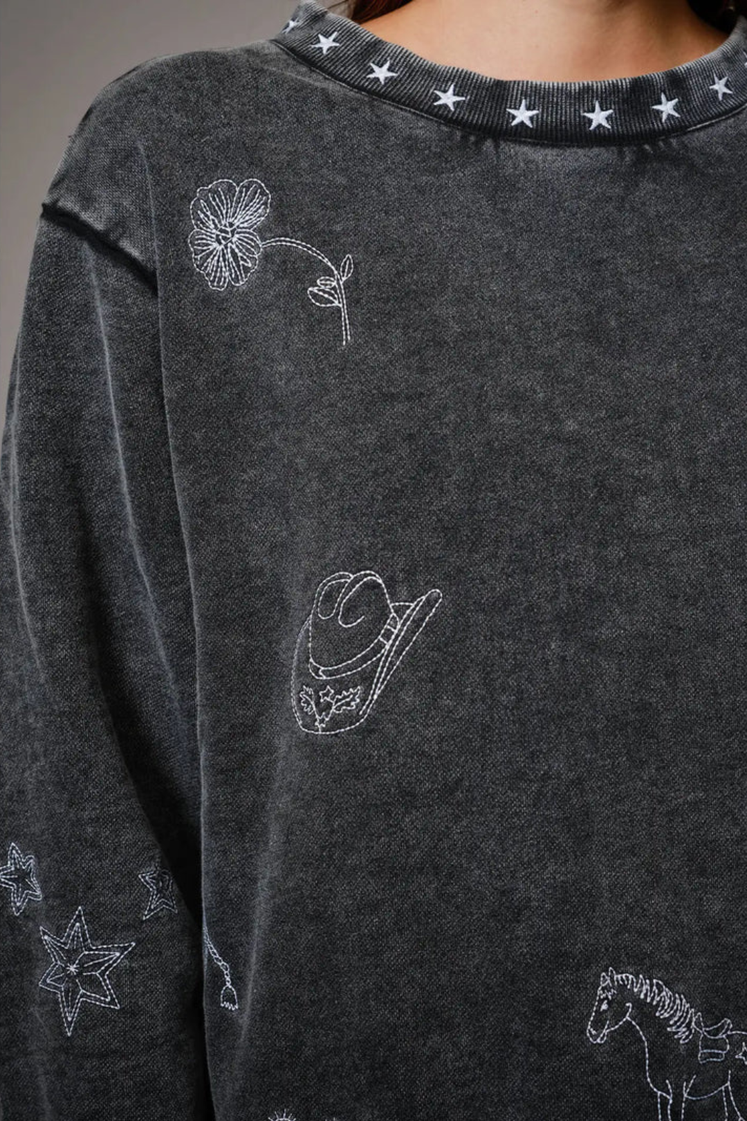 Starlit Range Embroidered Sweatshirt