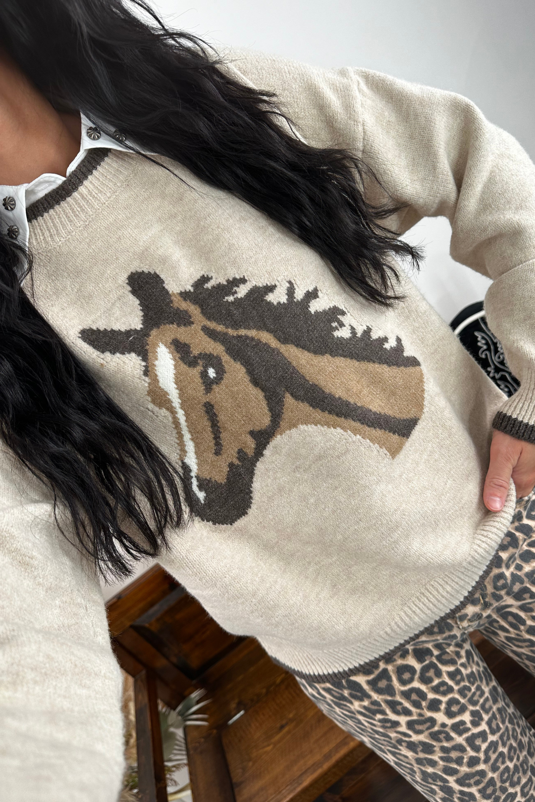 Prairie Pony Sweater