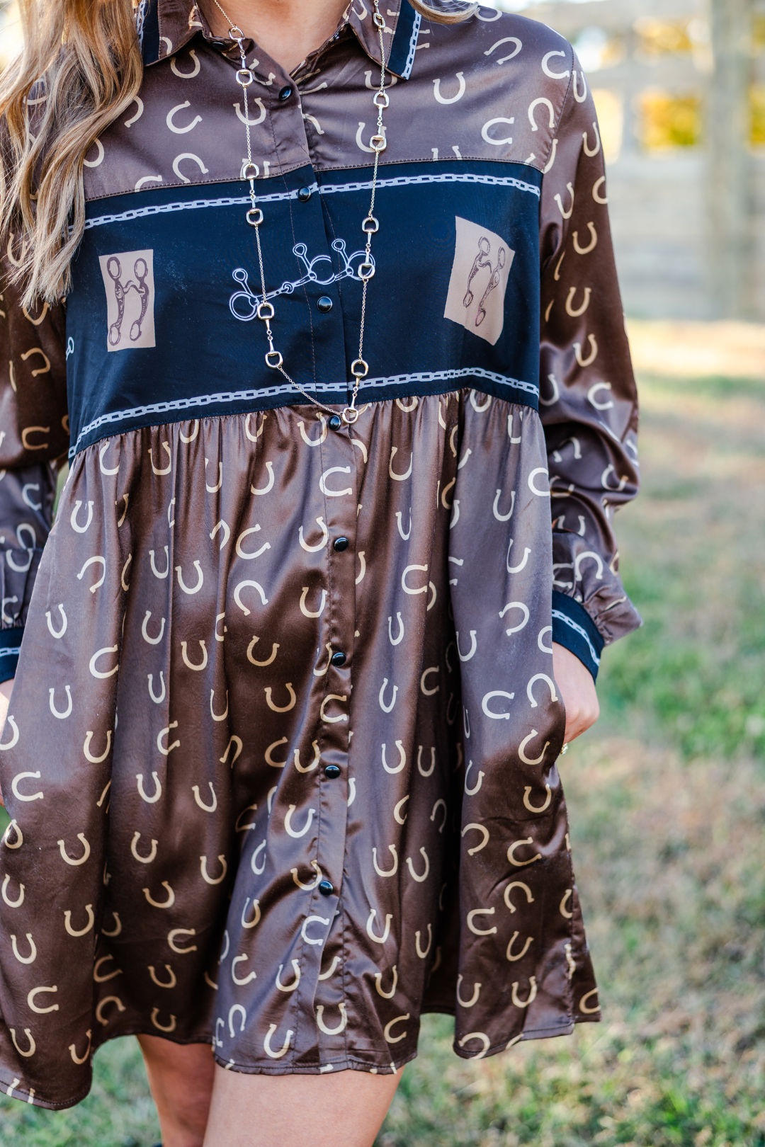 A Bit Dressy Shirt Dress