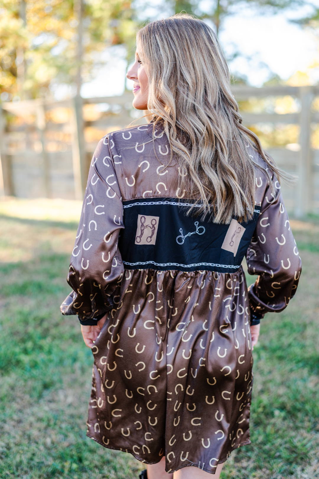 A Bit Dressy Shirt Dress