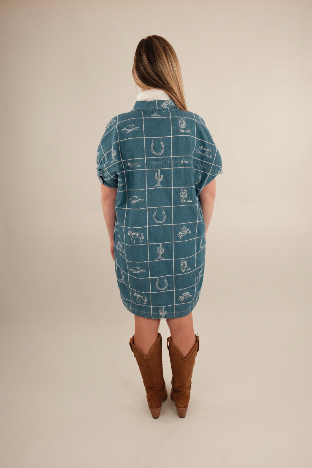 Blue Mesa Dress