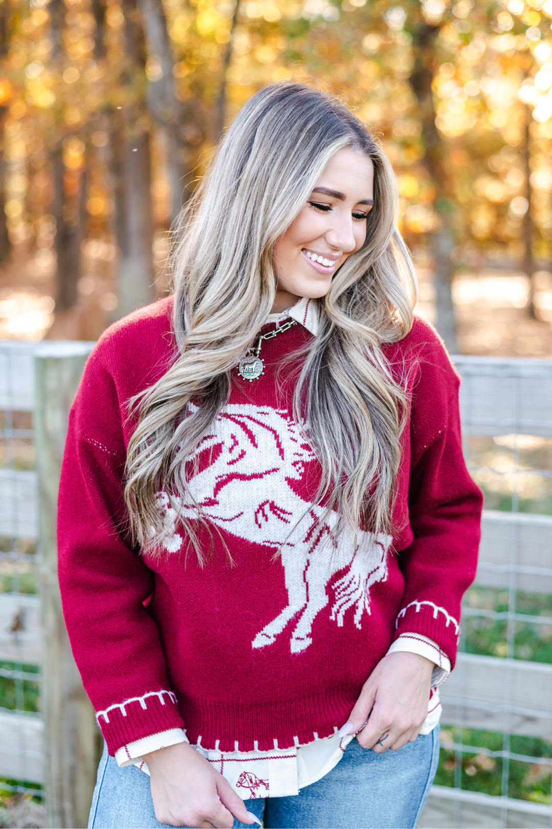 Wild Spirit Horse Sweater