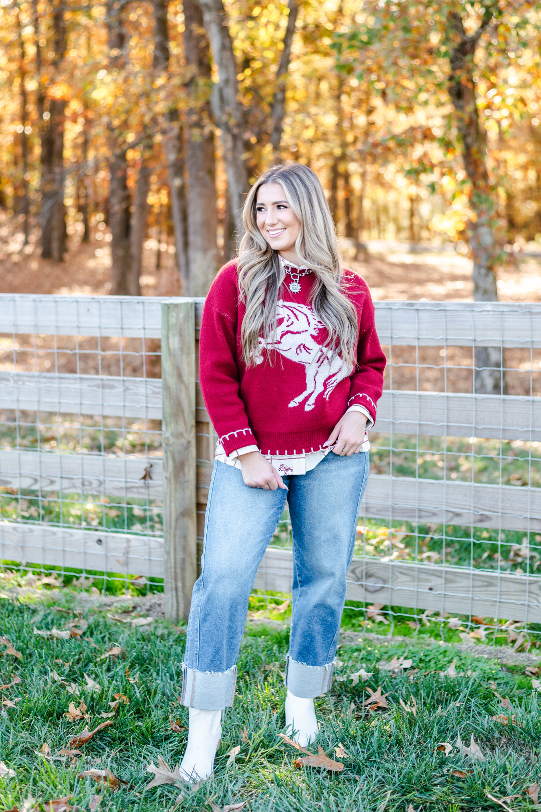 Wild Spirit Horse Sweater