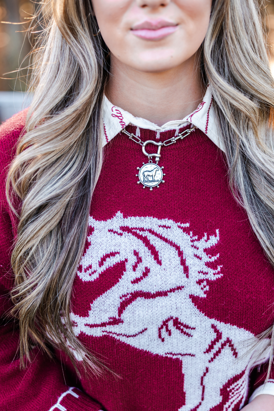 Wild Spirit Horse Sweater