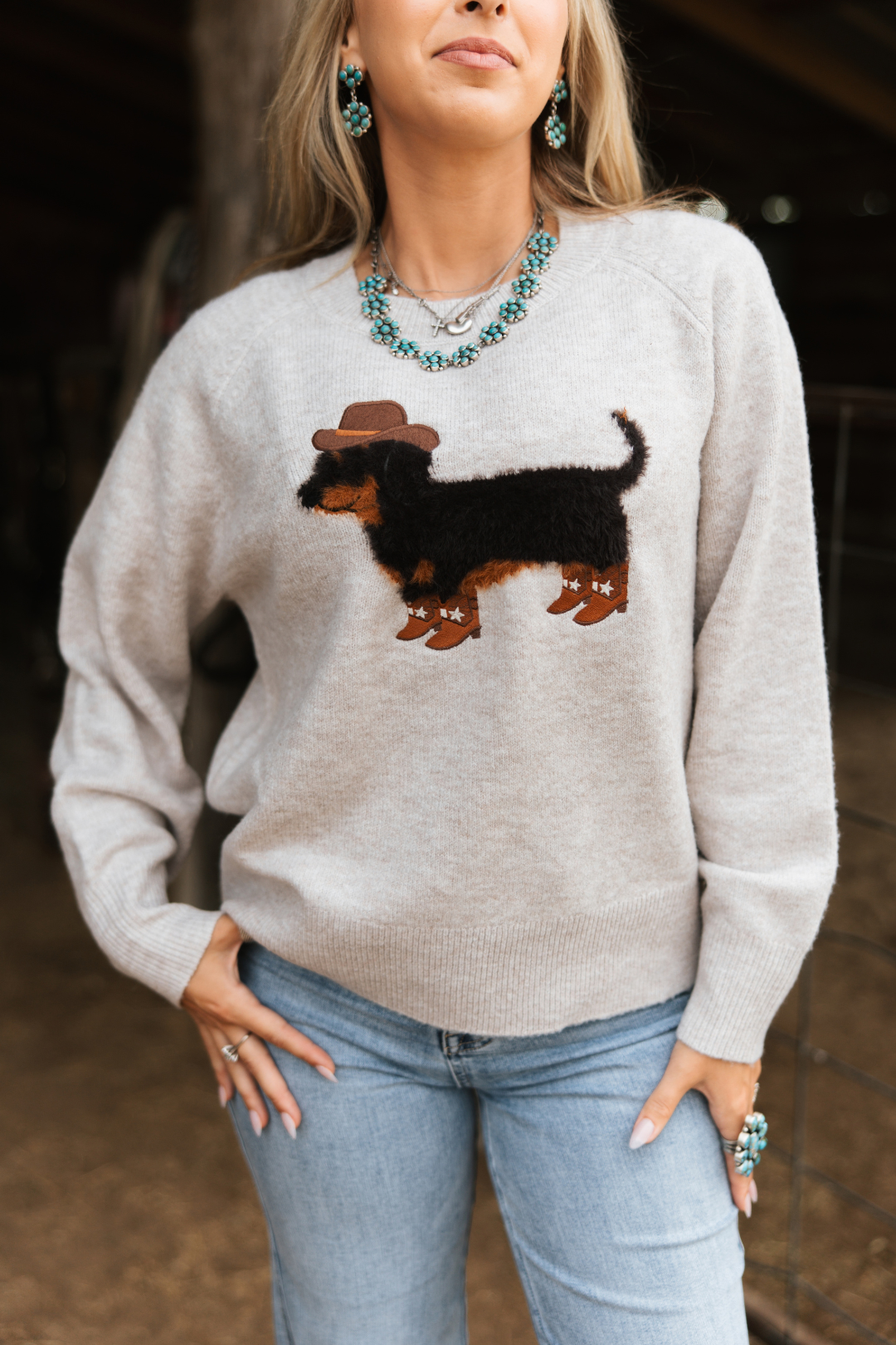Howdy Hound Sweater