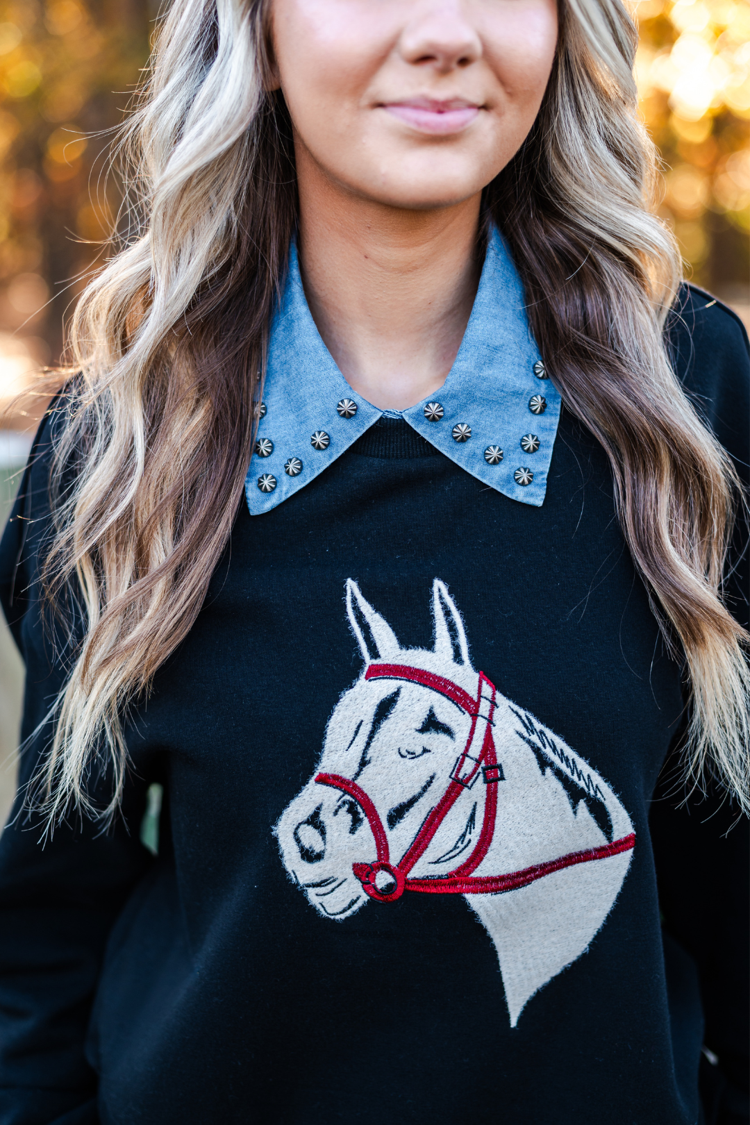 Bridle & Grace Embroidered Pullover