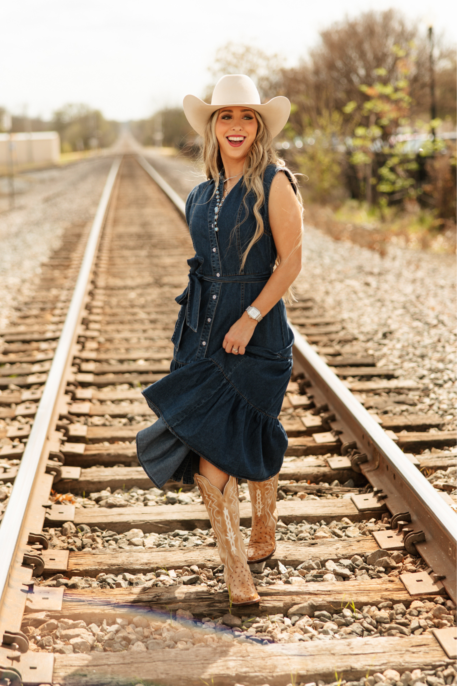 Dakota Skies Denim Maxi Dress Small Dakota Skies Denim Maxi Dress Small