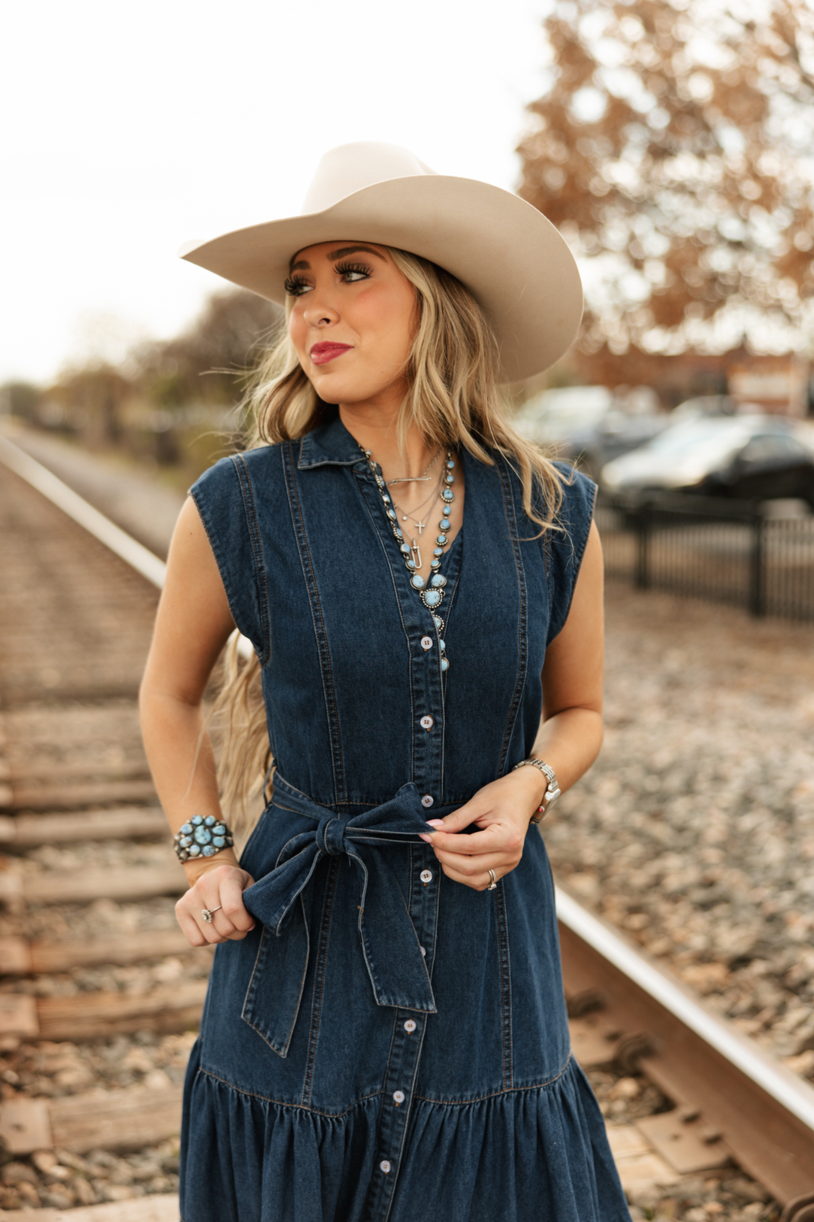 Dakota Skies Denim Maxi Dress