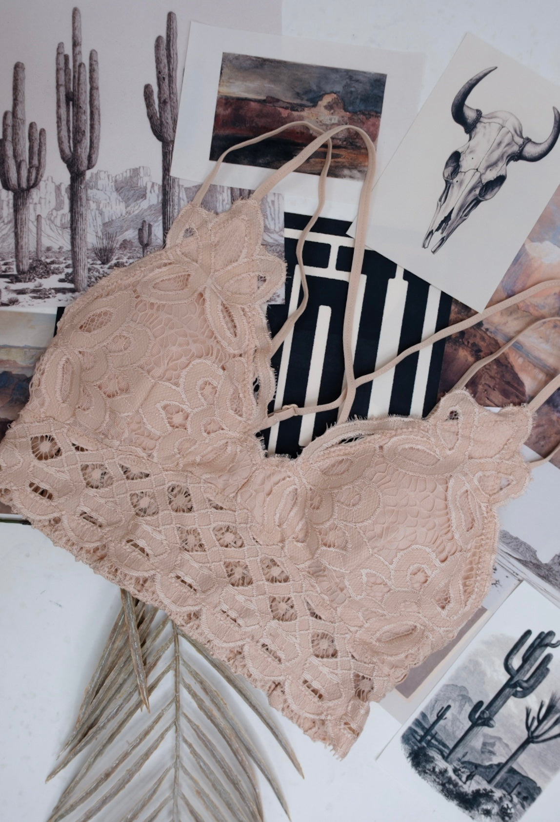 Lace & Lasso Bralette - Cream