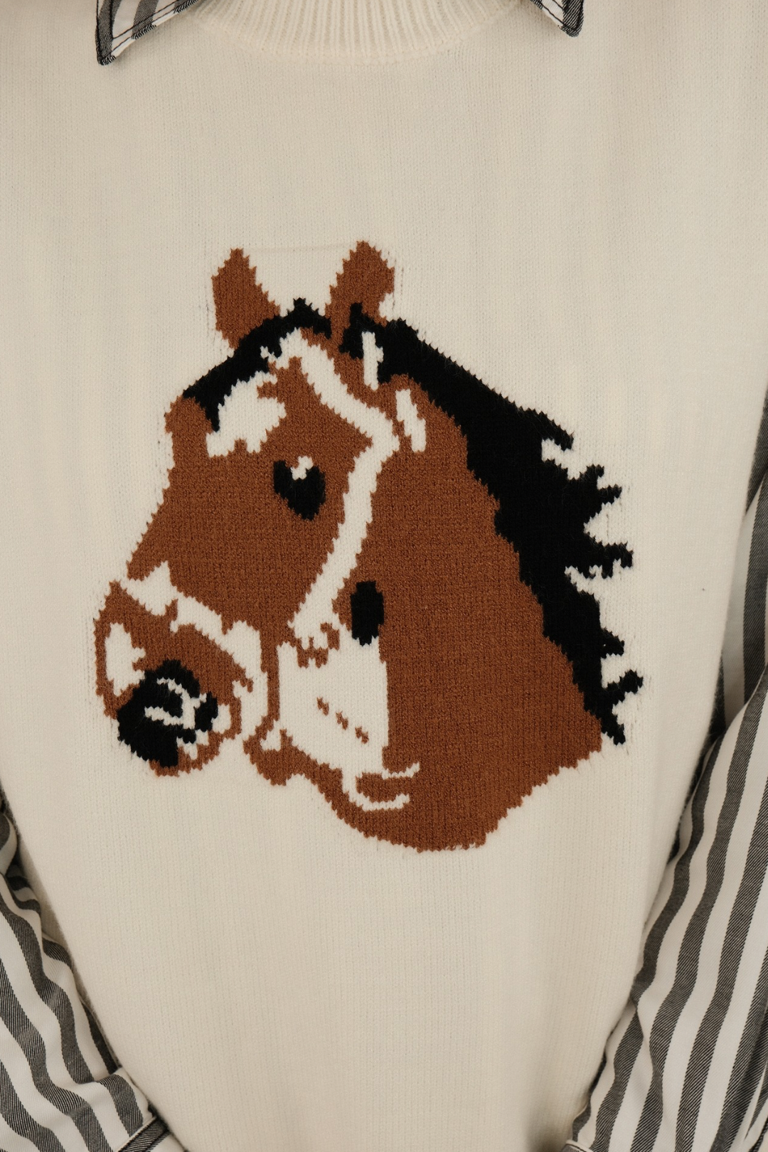 Bridled Beauty Sweater Vest