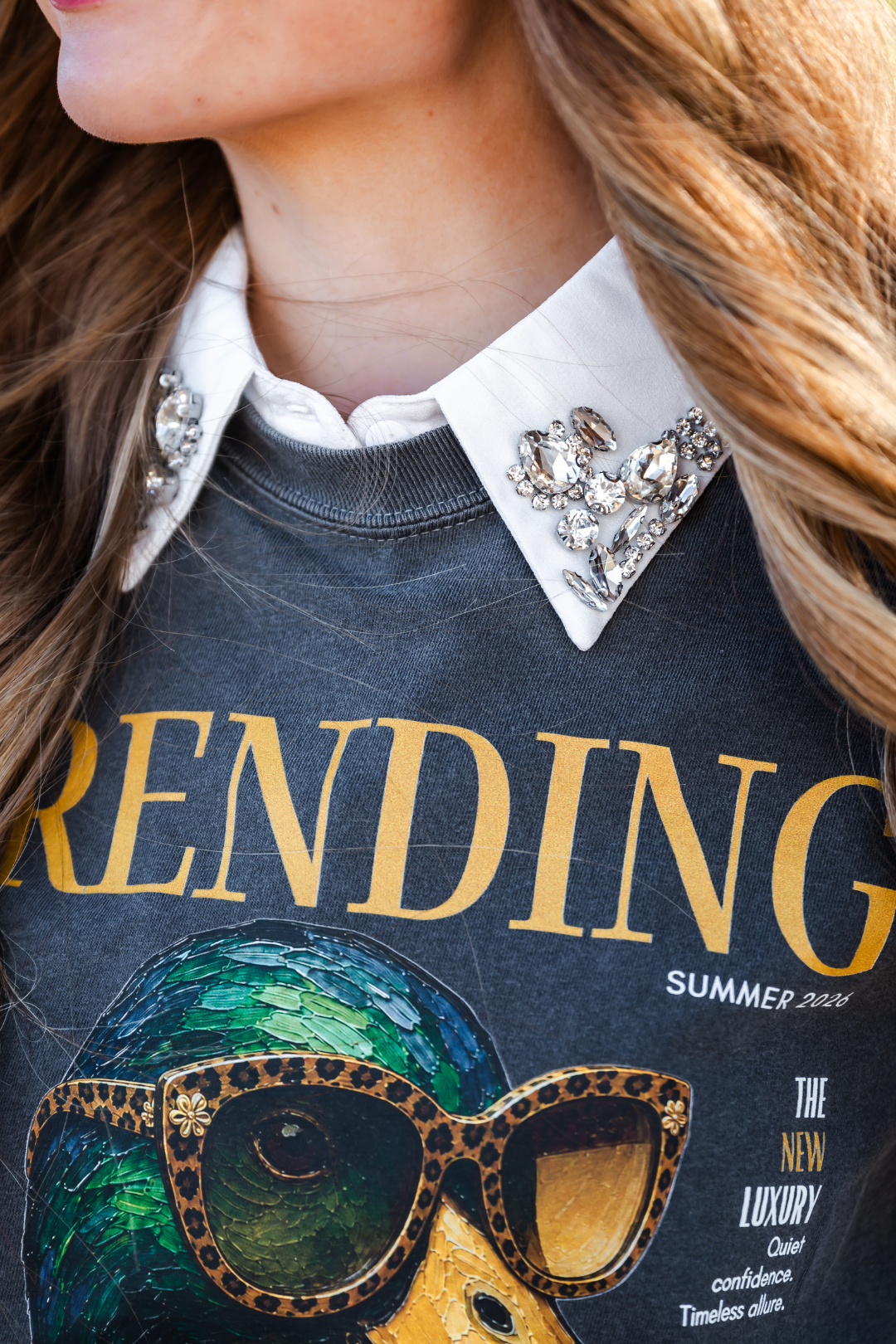 Cowgirl Crystal Detachable Collar