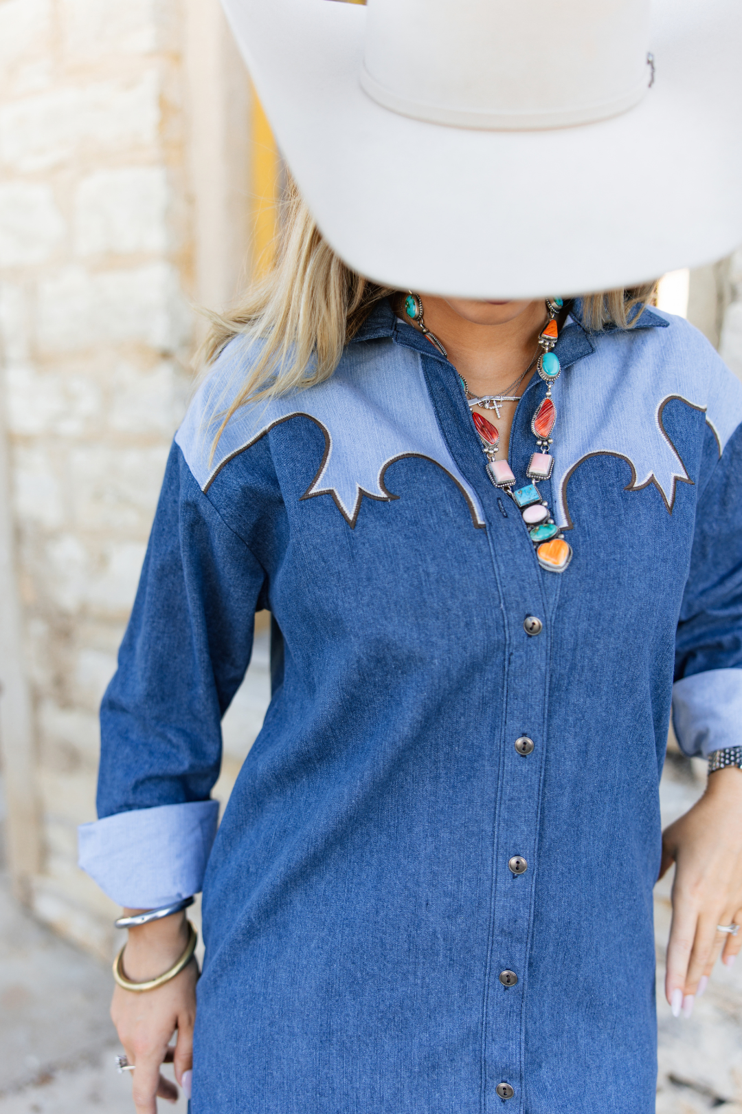 Westward Bound Denim Dress