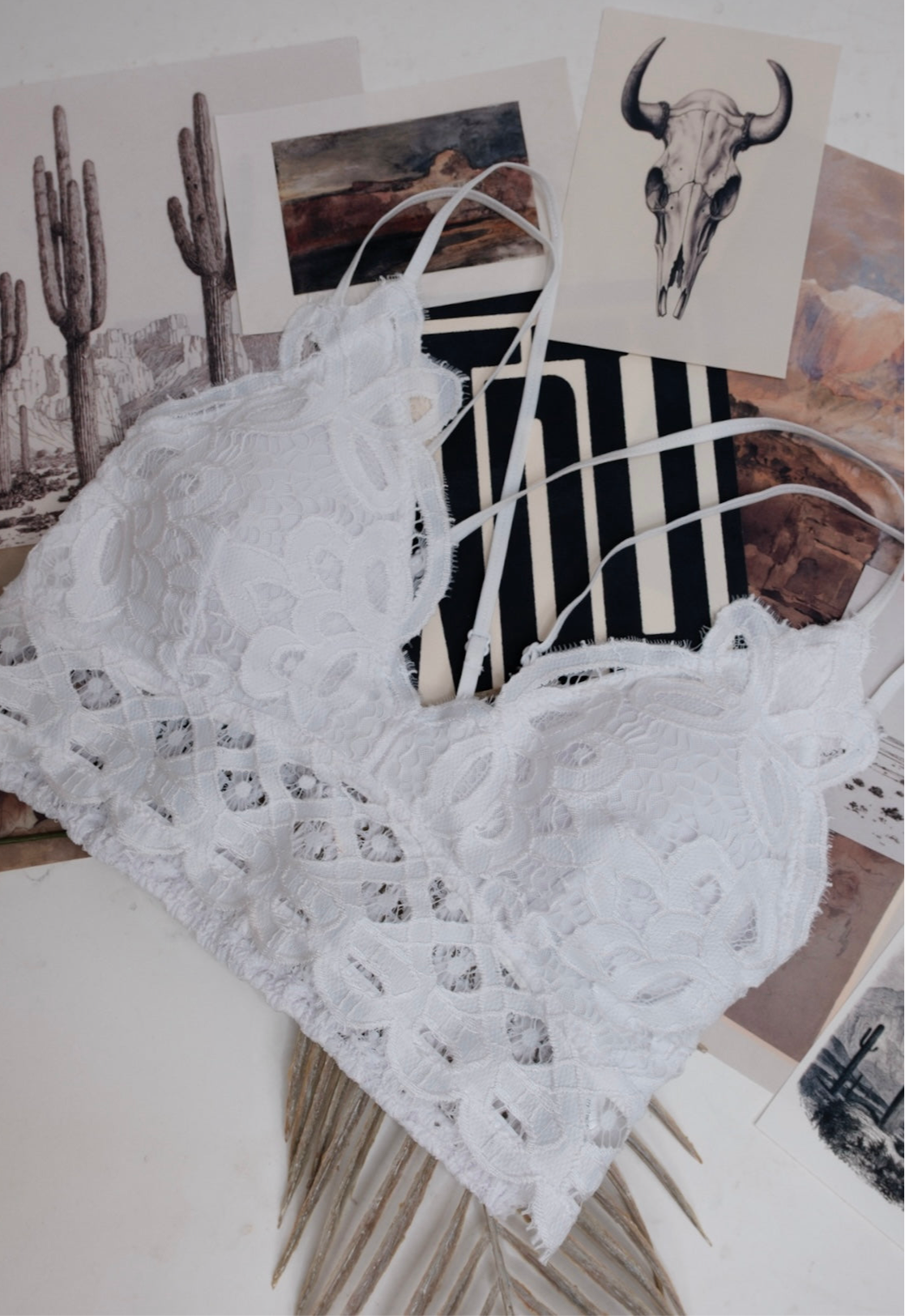 Lace & Lasso Bralette - White