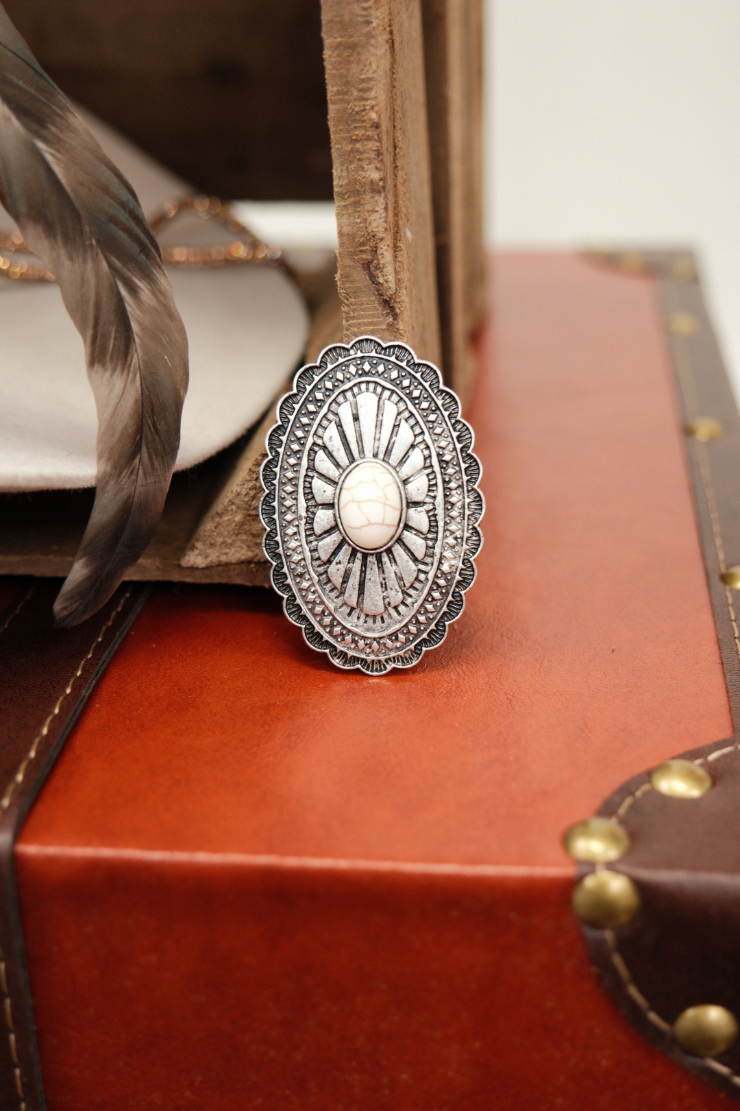 Silver Spur Scarf Brooch