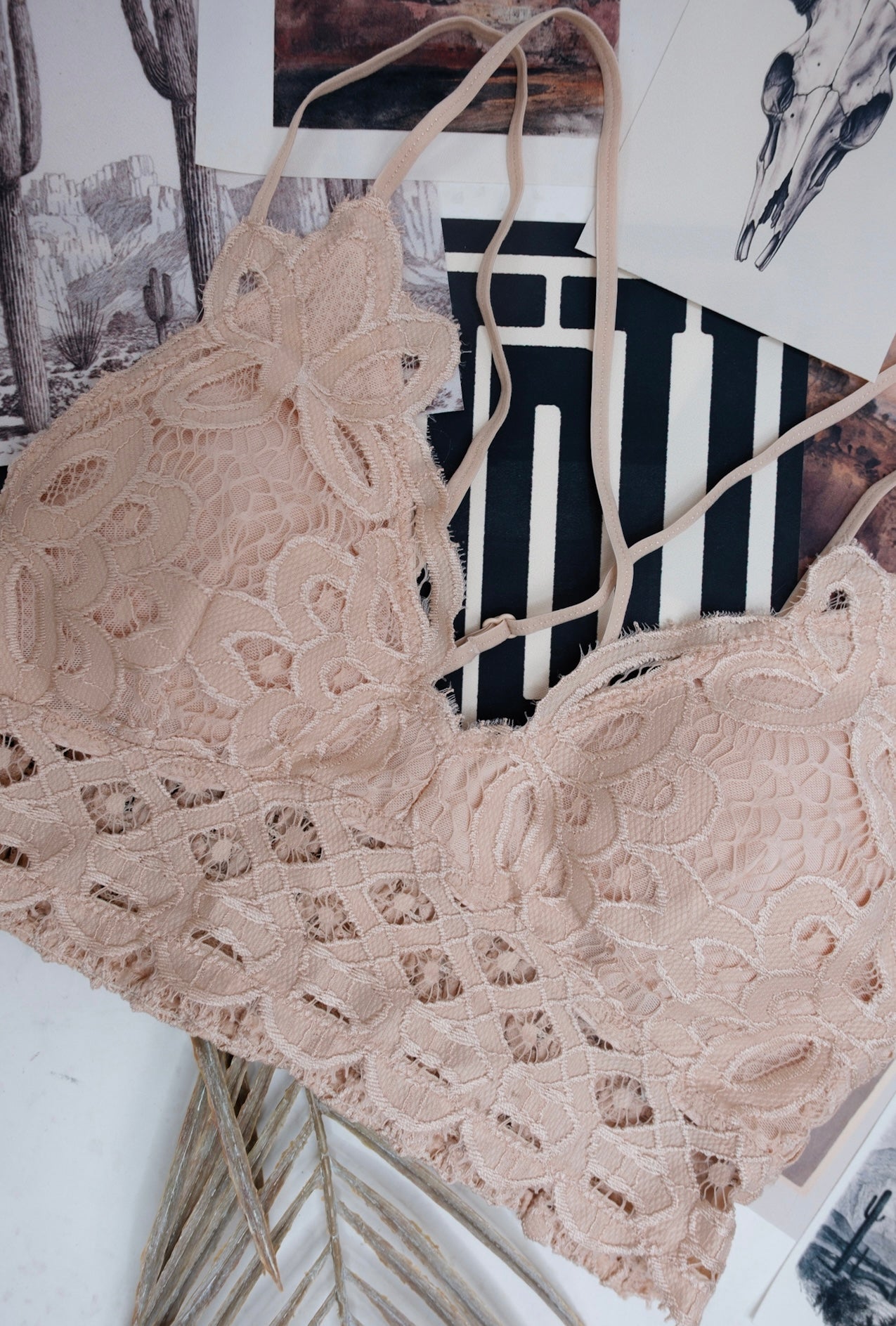 Lace & Lasso Bralette - Cream