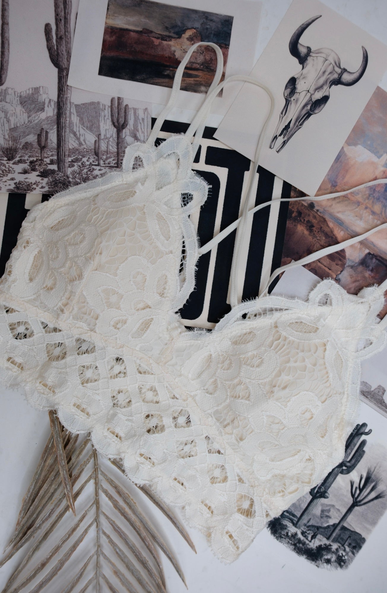Lace & Lasso Bralette - Ivory