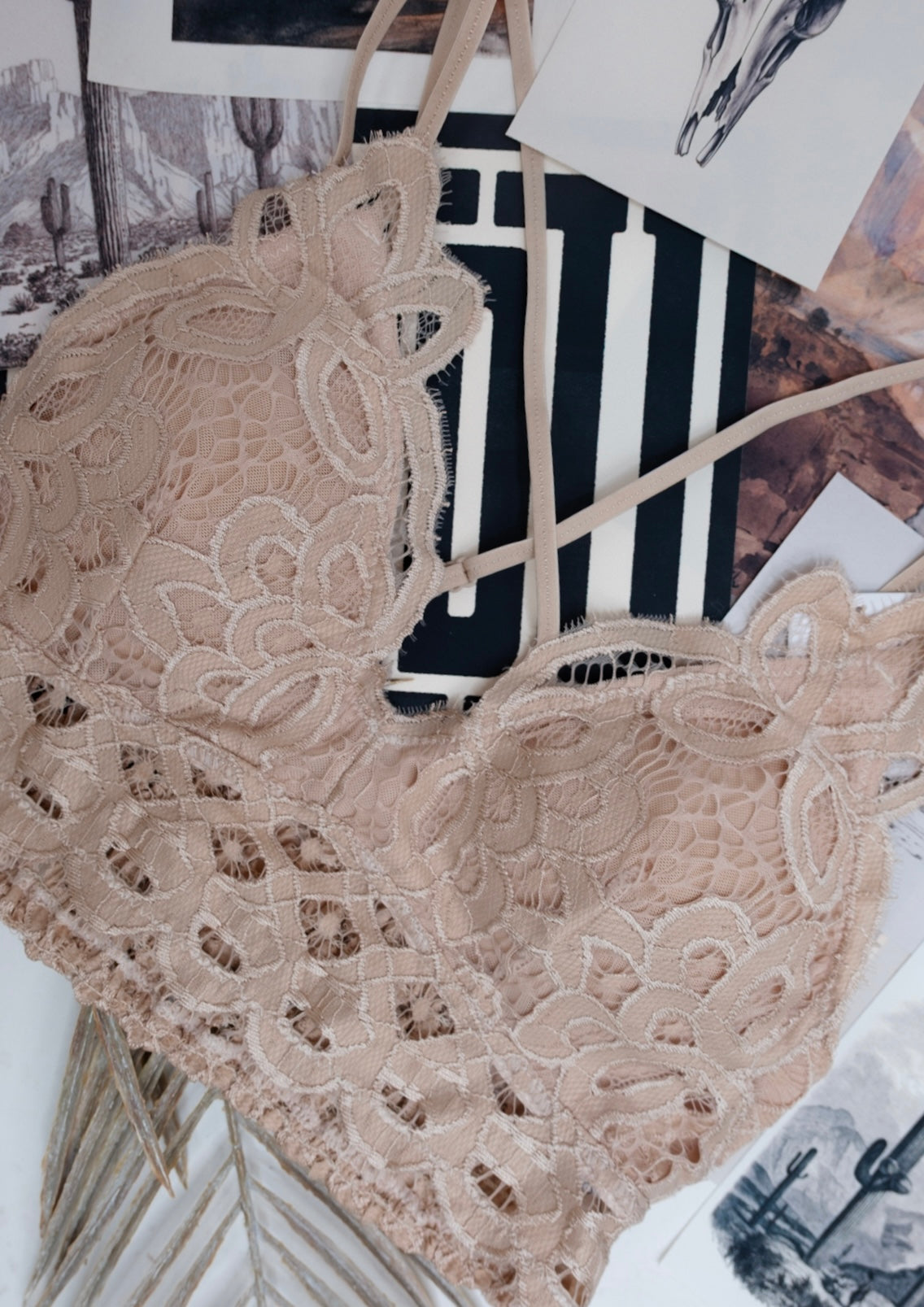 Lace & Lasso Bralette - Beige