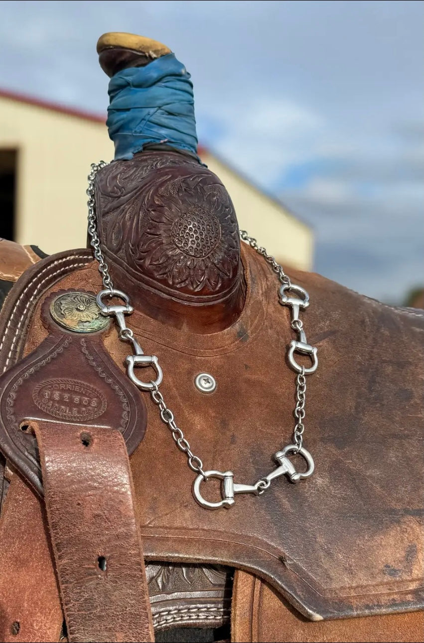 Close-up of a silver bit necklace over the horn of a horse saddle.