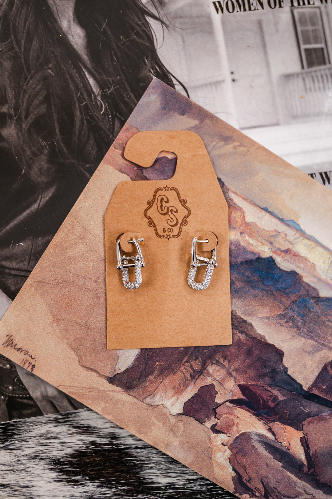 Pair of silver hoop earrings on a wooden display card with a mountain-themed background.