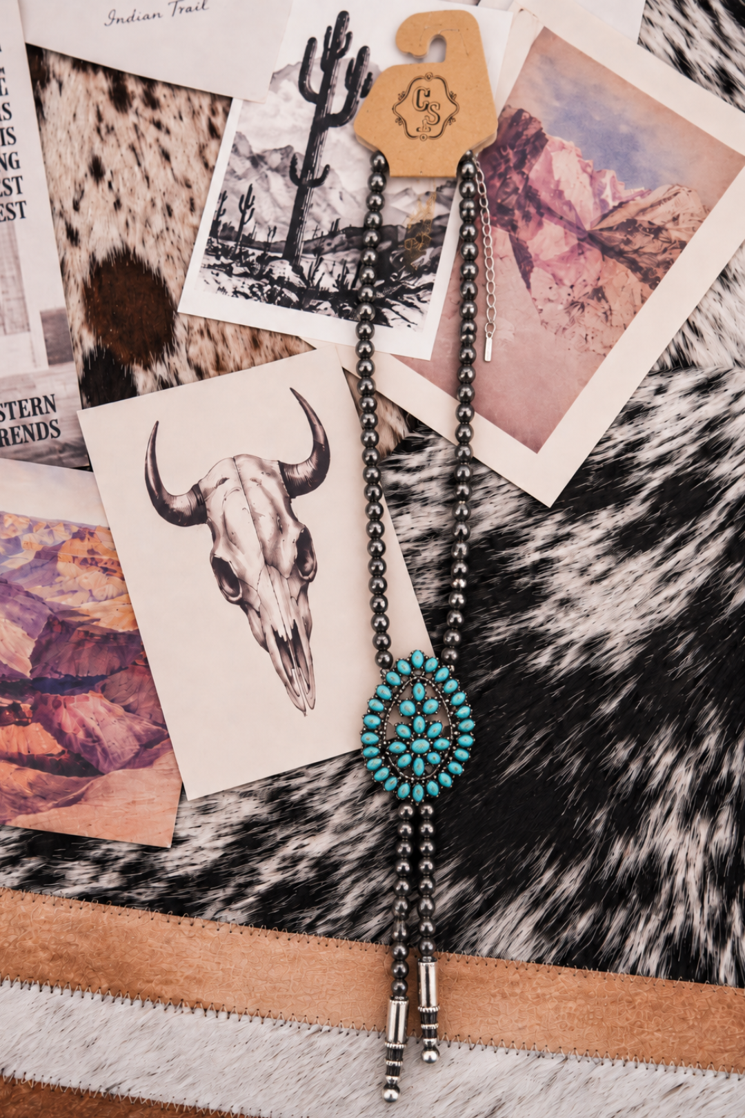 Turquoise Trail Bolo Necklace