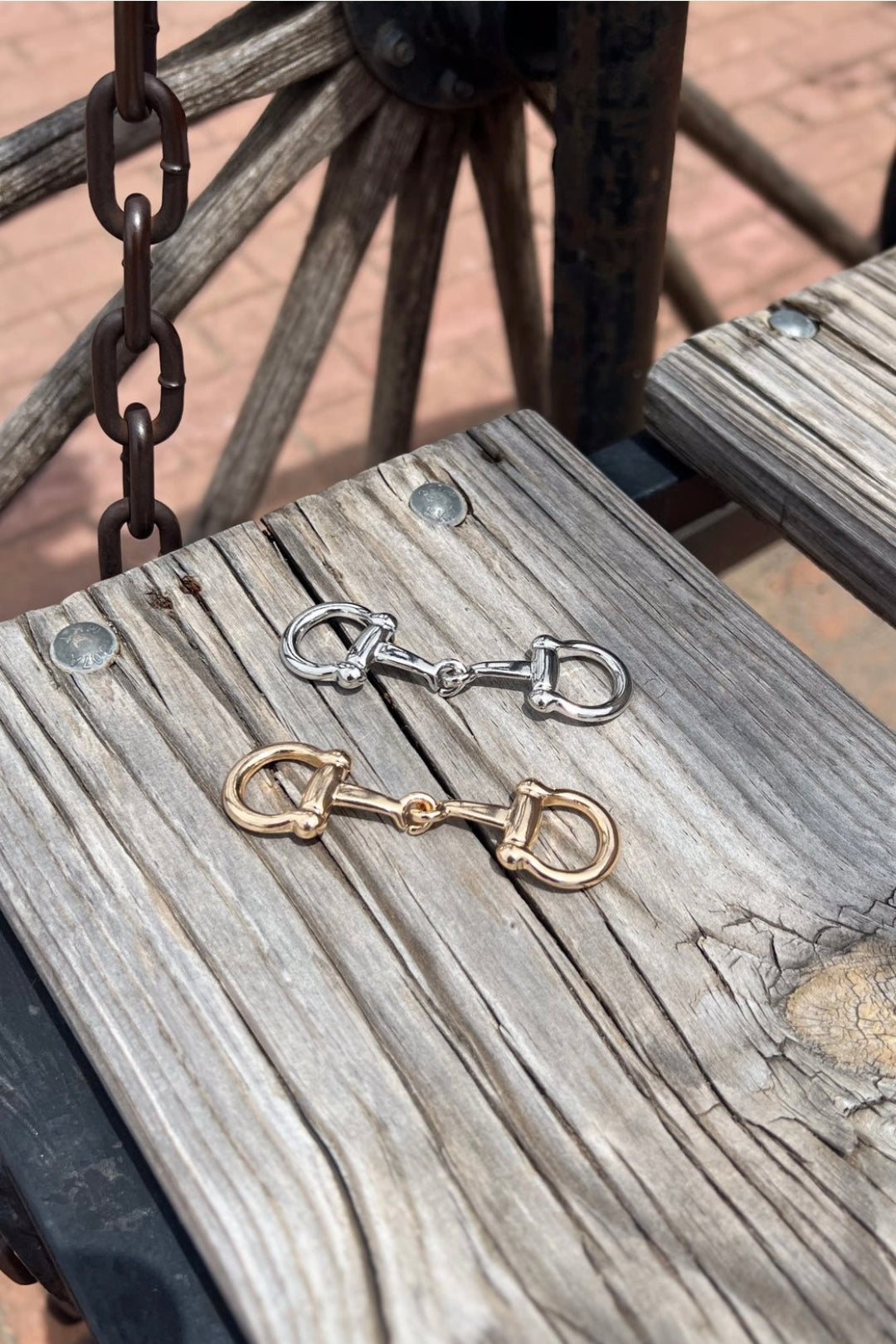 Bit of Shine Scarf Slide