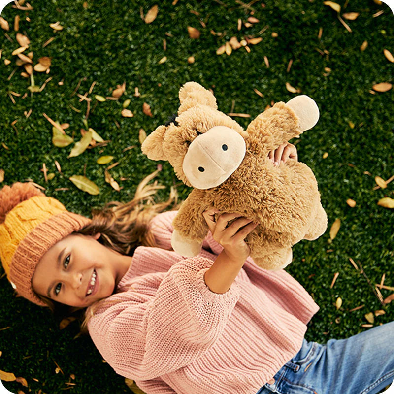 Donkey Warmies Plush